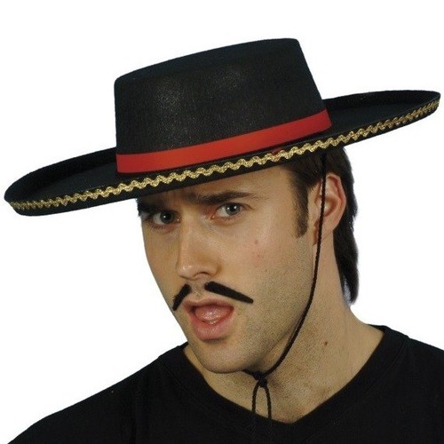 Adult fancy dress - adult, hat